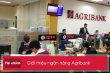 Vay tín chấp Agribank
